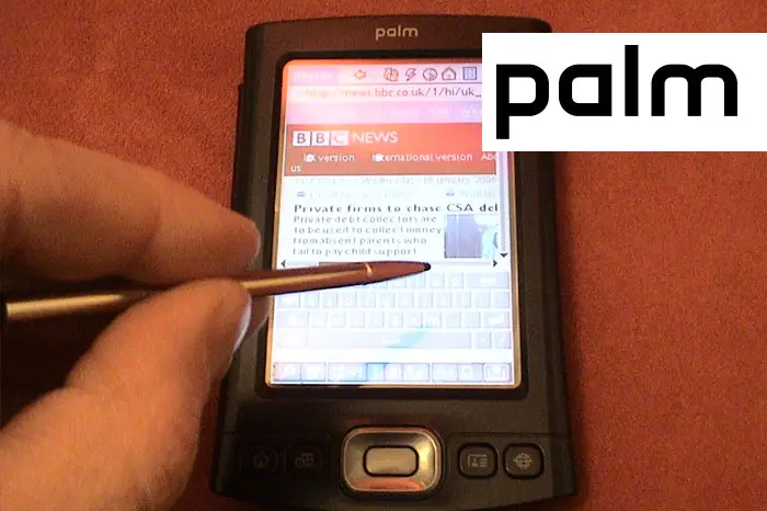 History of Palm